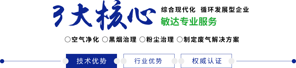 大鸡巴草死你小骚逼网站敏达环保科技（嘉兴）有限公司